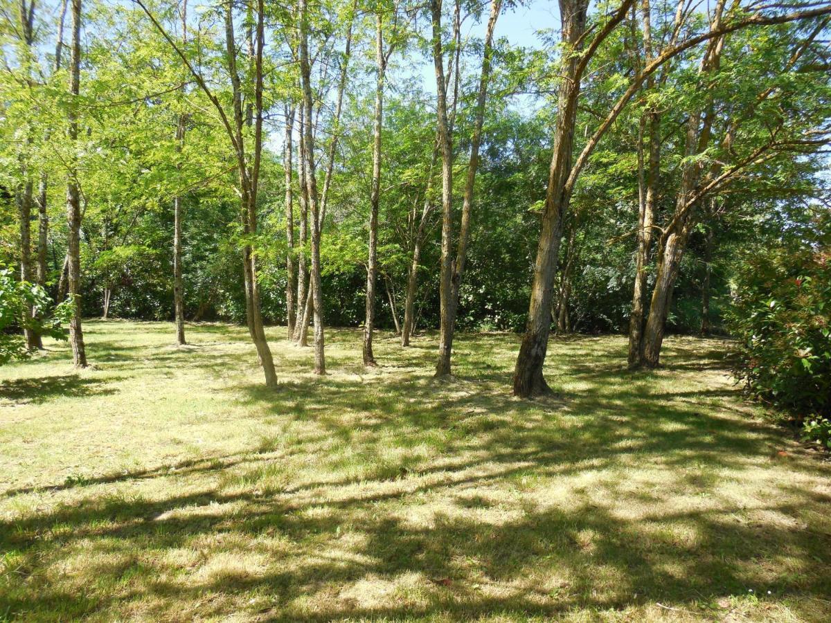 Le Chalet Bois De Celio Coux Luaran gambar